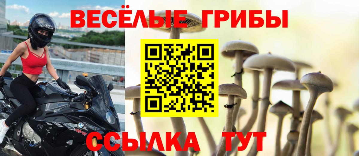 Галлюциногенные грибы мицелий  Вход с VPN  Галлюциногенные грибы мицелий  Татарск 