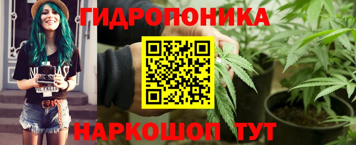 Бошки Шишки SATIVA & INDICA  Вход с VPN  Татарск  Марихуана Amnesia  Бошки марихуана OG Kush  Бошки марихуана LSD WEED 